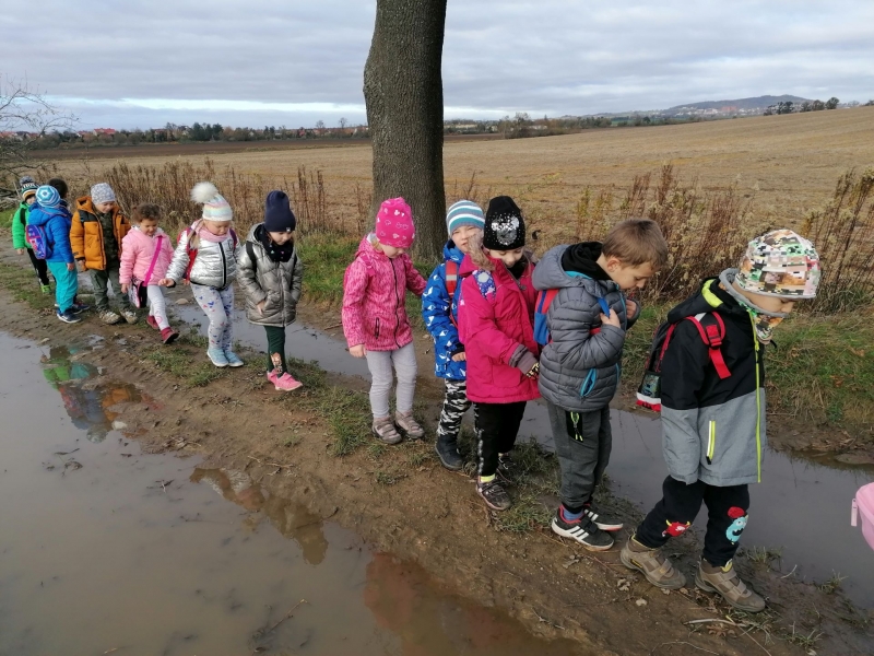 Przejście polną drogą.jpg